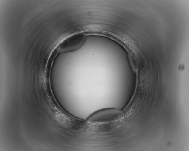 X0000100770880200806261541