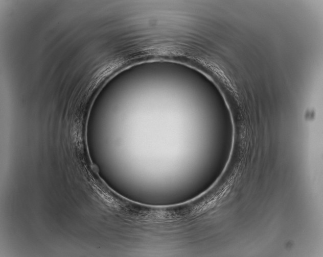 X0000100770881200806261541