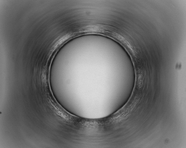 X0000100770882200806261541