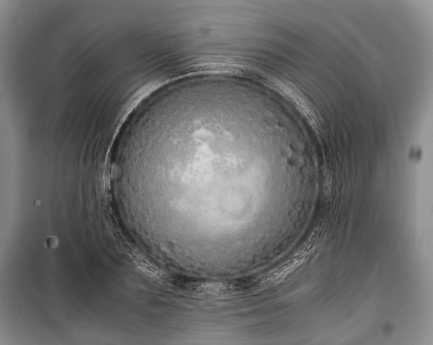 X0000100770883200806261541