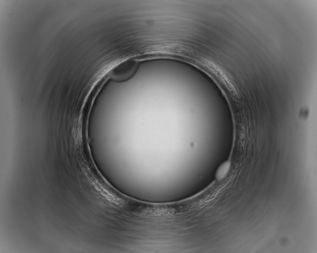 X0000100770884200806261541