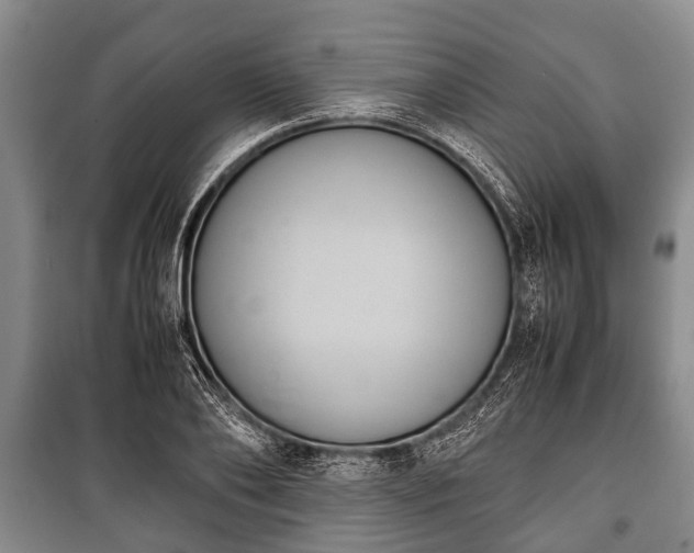 X0000100770886200806261541