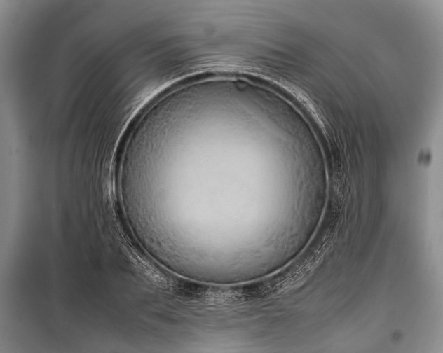 X0000100770887200806261541