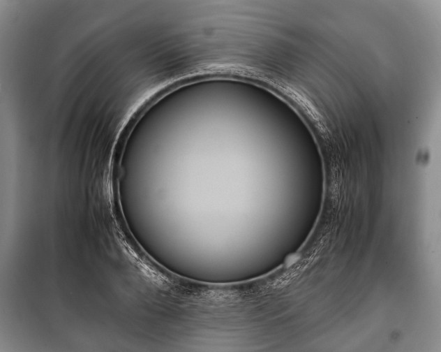 X0000100770888200806261541