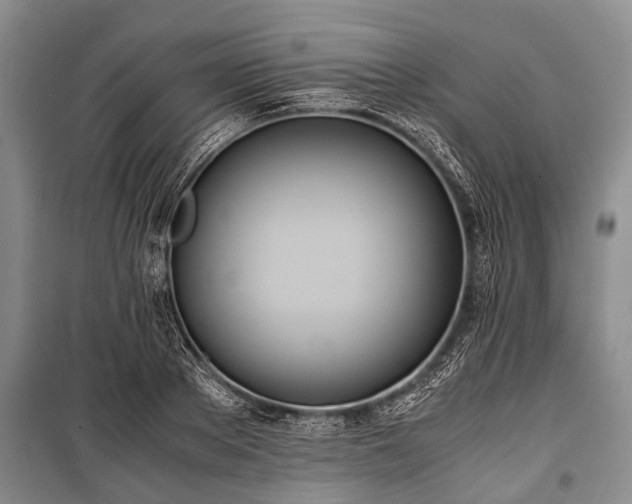 X0000100770889200806261541