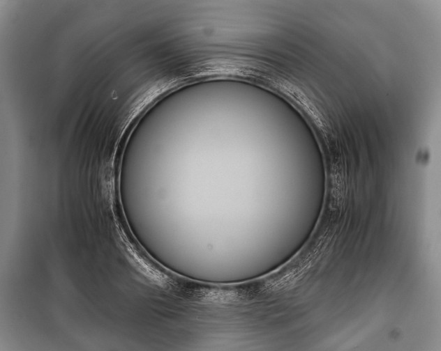 X0000100770890200806261541