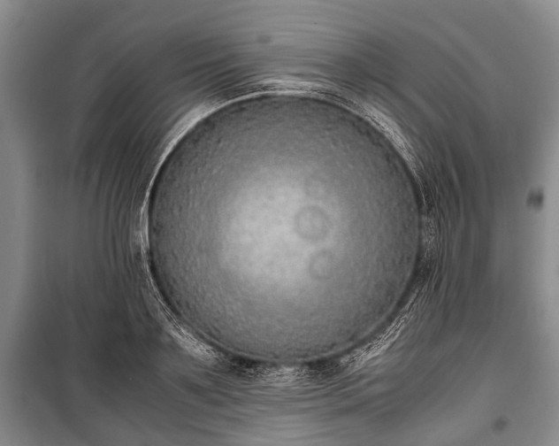X0000100770891200806261541