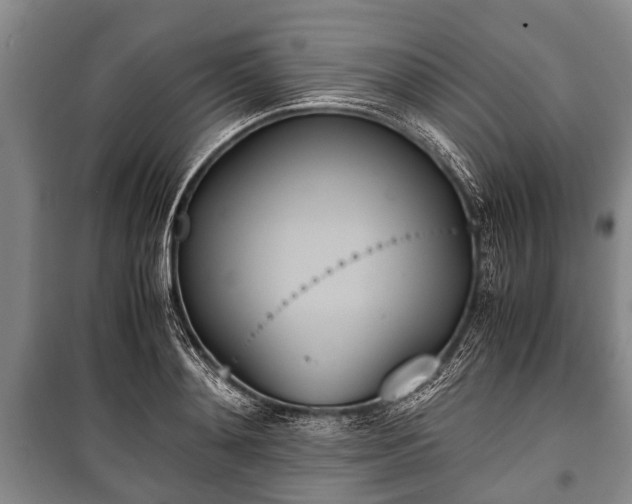 X0000100770892200806261541