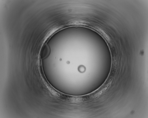 X0000100770893200806261541