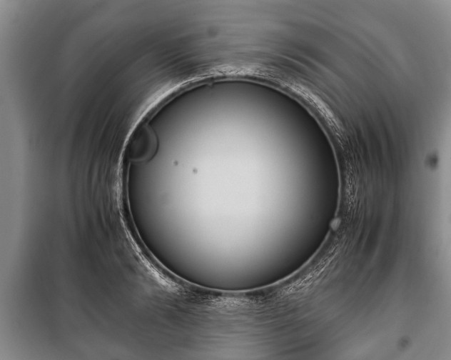X0000100770894200806261541