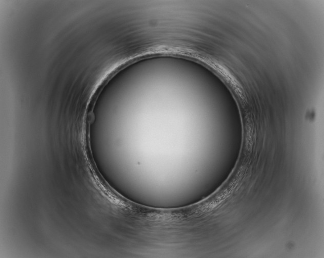 X0000100770896200806261541