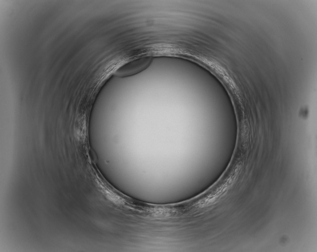 X0000100770897200806261540