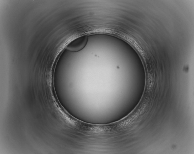 X0000100770898200806261540