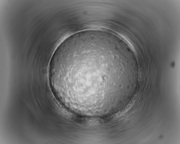 X0000100770899200806261540