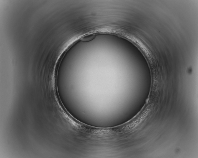 X0000100770902200806261540