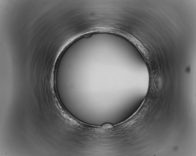X0000100770904200806261540