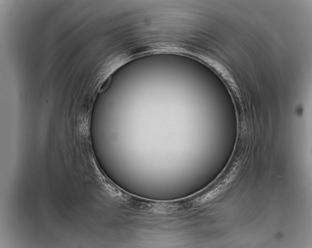 X0000100770905200806261540