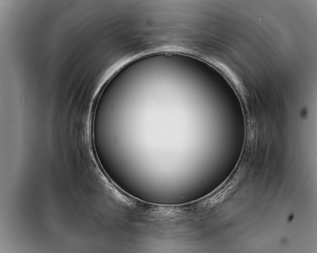 X0000100770910200806261540