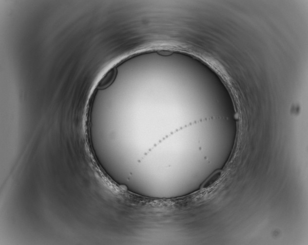 X0000100770912200806261540