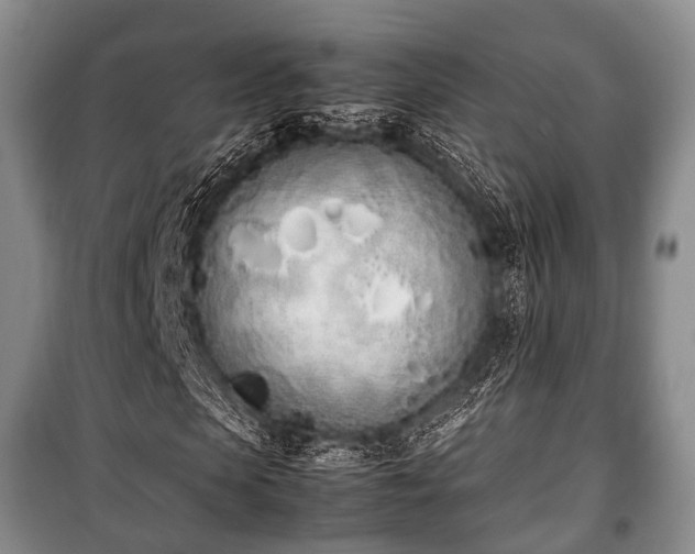 X0000100770913200806261539