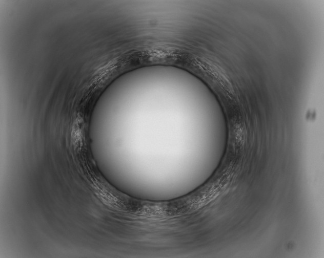 X0000100770914200806261539