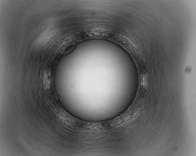 X0000100770915200806261539