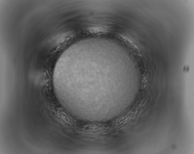 X0000100770917200806261539