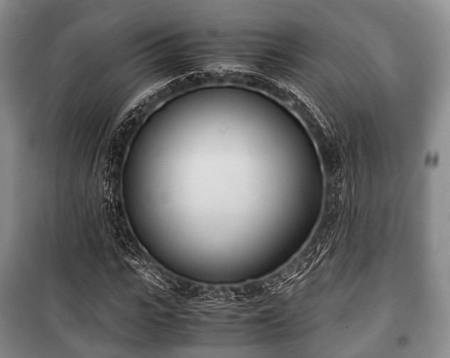 X0000100770919200806261540