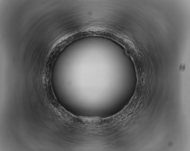 X0000100770920200806261540