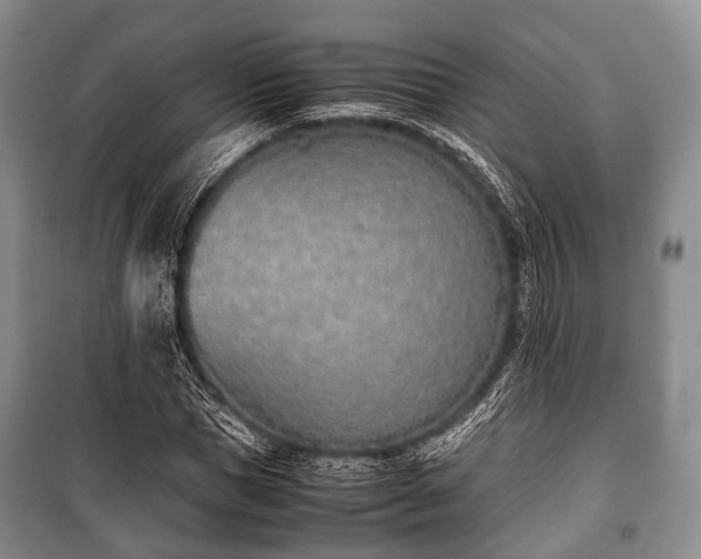 X0000100770921200806261540