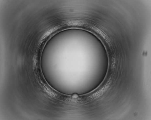 X0000100770922200806261540
