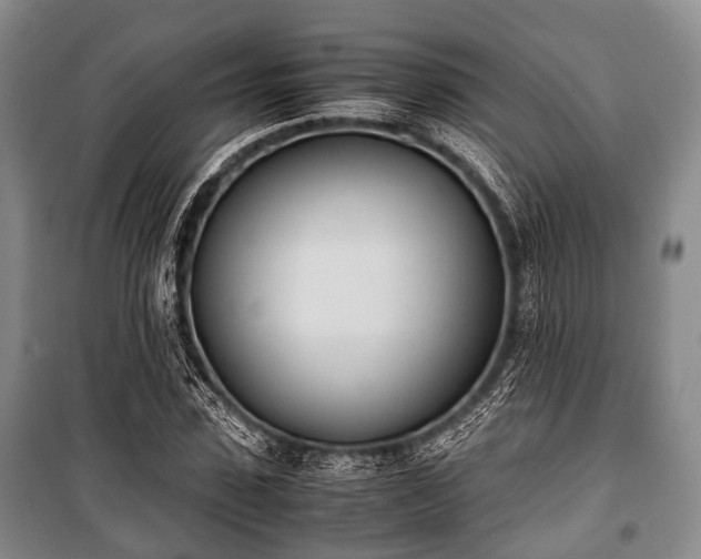 X0000100770923200806261540