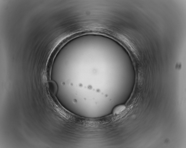 X0000100770924200806261540