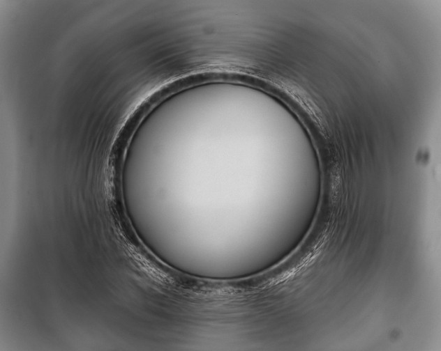 X0000100770926200806261540