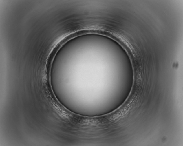 X0000100770927200806261540