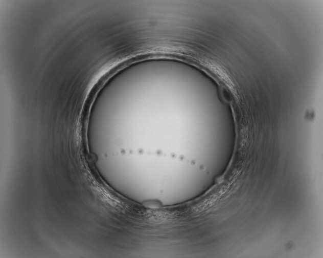 X0000100770928200806261540