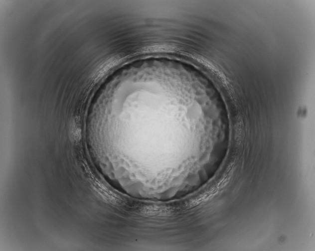 X0000100770929200806261540