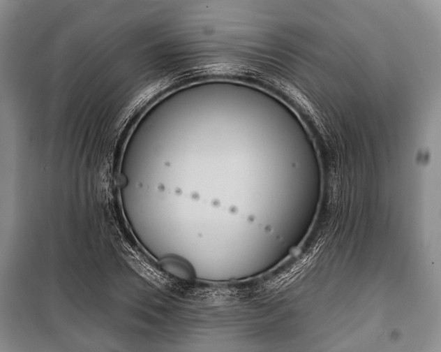 X0000100770930200806261540