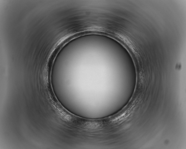 X0000100770931200806261540