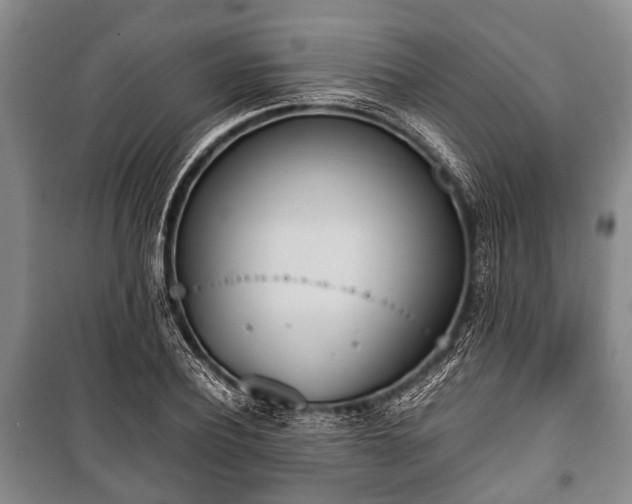X0000100770932200806261540