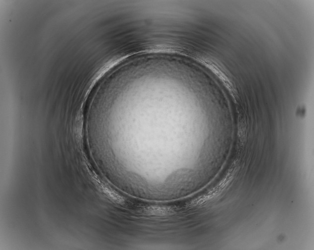 X0000100770933200806261540