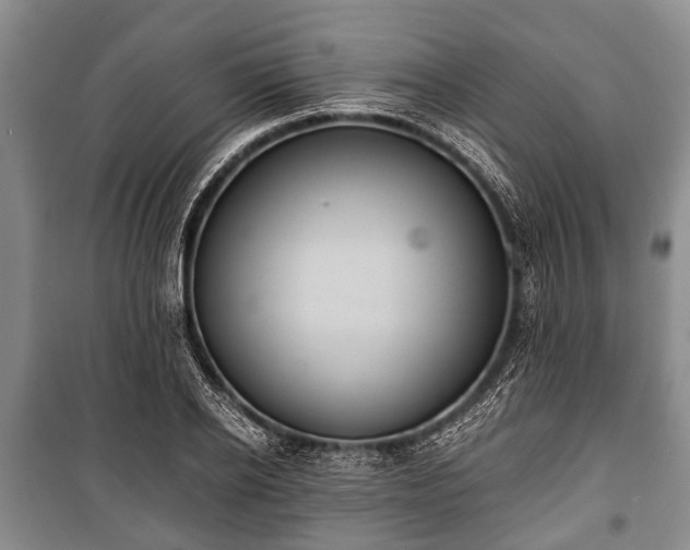 X0000100770934200806261540