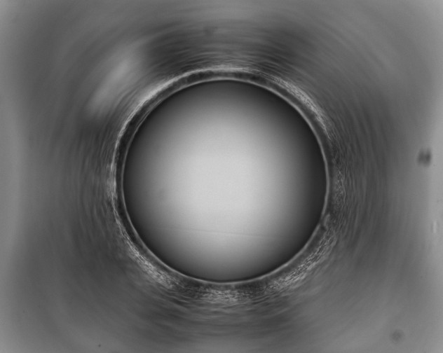 X0000100770935200806261540