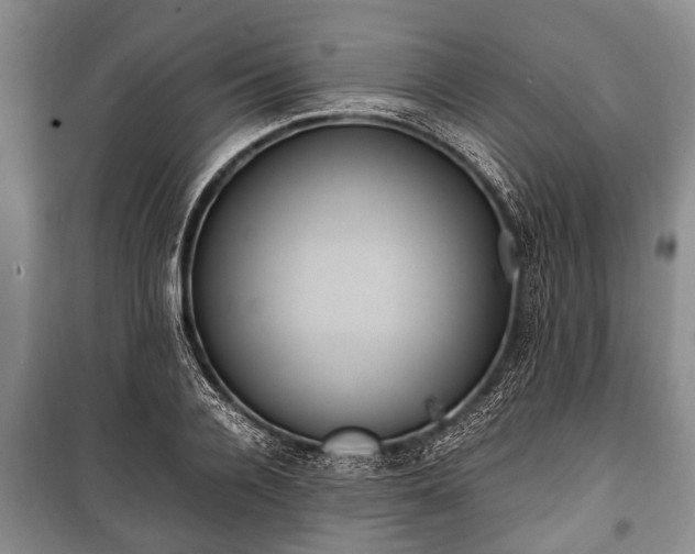 X0000100770936200806261540