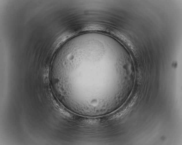 X0000100770937200806261540