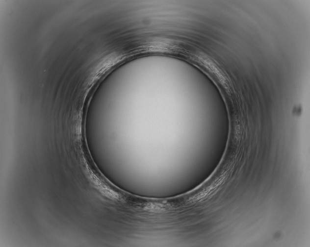 X0000100770938200806261540