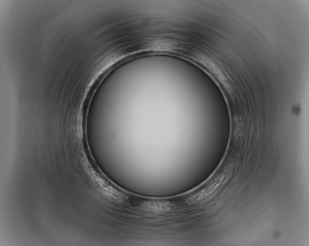 X0000100770939200806261540