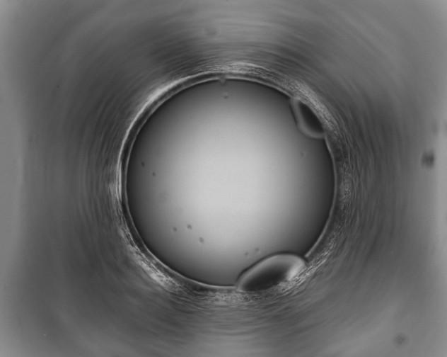 X0000100770940200806261540