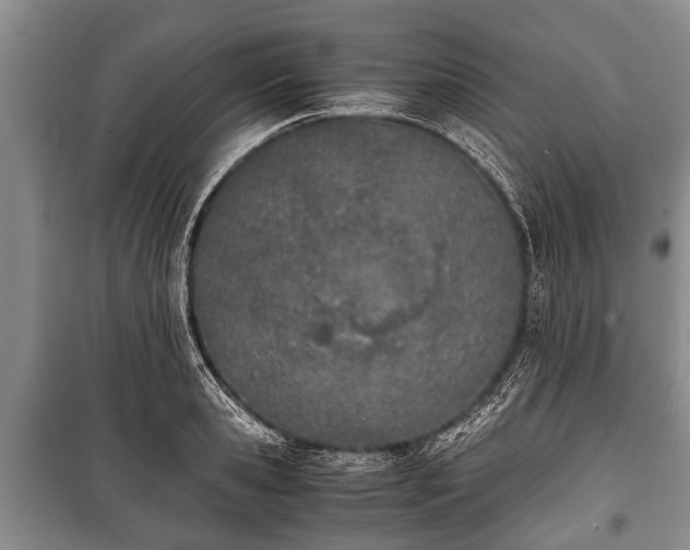 X0000100770941200806261540