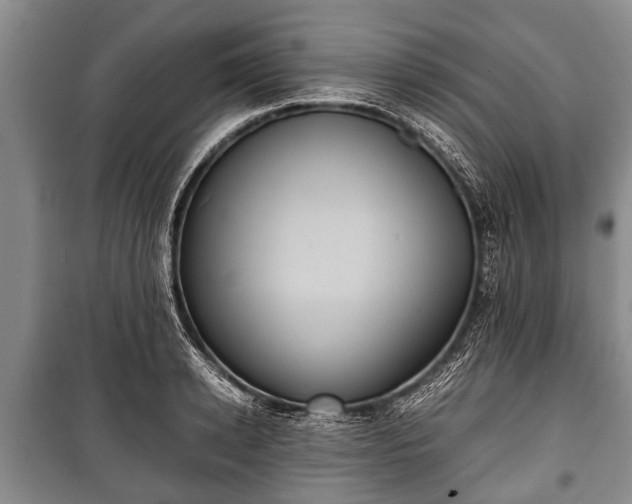 X0000100770942200806261540